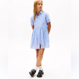 Polo Ralph Lauren Blue Striped Dress